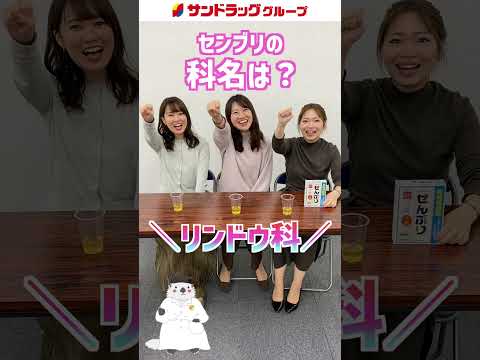 【罰ゲーム①】センブリ茶って本当に苦いの...!? WEB懇親会連動企画 #Shorts