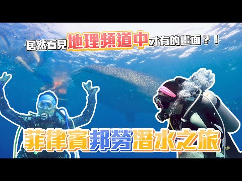 【ChienHao老師生活】菲律賓邦勞島潛水陸遊五天四夜，在海裡竟看到了鯨鯊？！