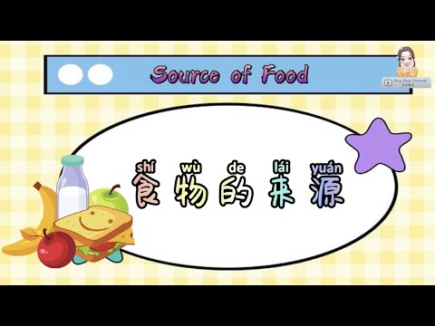 食物的来源 Source of Food｜科学｜学前教育