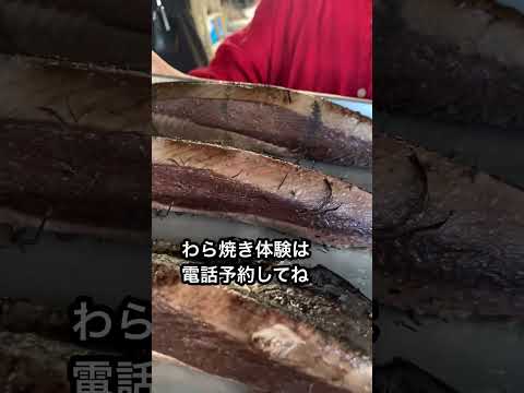 高知旅#12カツオの藁焼き体験