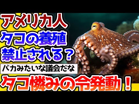 【2ch動物スレ】科学者「タコに自由を！」タコの養殖を禁止する法案が提出される！【なんj】 #生き物 #2ch