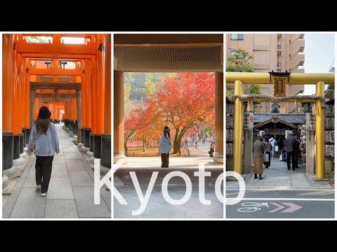 日本京都丨伏見稻荷大社、南禪寺秋景、據說財運很靈的御金神社、迴轉壽司藍瓶子咖啡