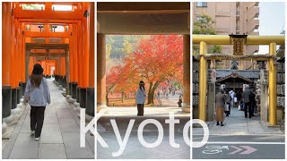 日本京都丨伏見稻荷大社、南禪寺秋景、據說財運很靈的御金神社、迴轉壽司藍瓶子咖啡