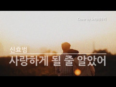 사랑하게 될 줄 알았어 – 신효범 (Cover)