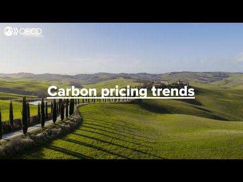 Carbon pricing trends 2021