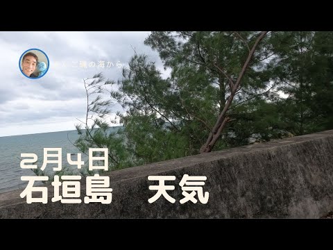 【石垣島天気】2月4日13時ごろ。15秒でわかる今日の石垣島の様子。