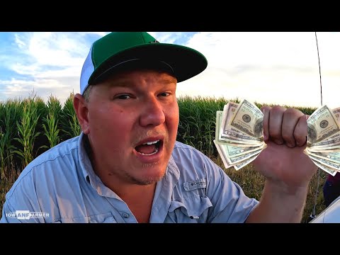 FARMERS CASH OUT ON CROP INSURANCE!