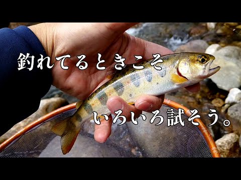 渓流天国長野県の超優良河川を釣る【渓流エサ釣り】