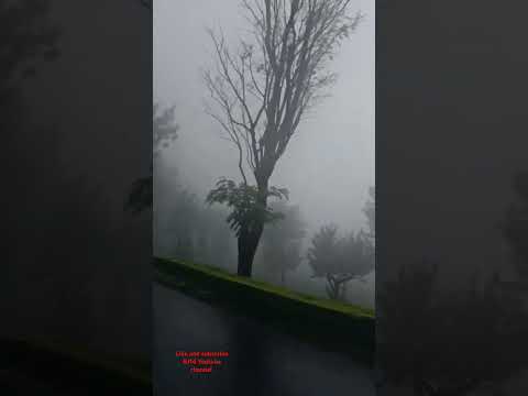 hawa me Lipta Hua Main #hillstation #vibes #rain #weather #romantic #shortvideo #shorts #love