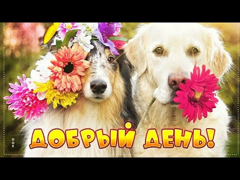 Доброе Утро! Открытка Доброе Утро всем, кого мы любим! И пусть сегодня у Вас будет счастливый день!