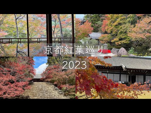 京都🍁紅葉の様子　2023 / 11/22-23