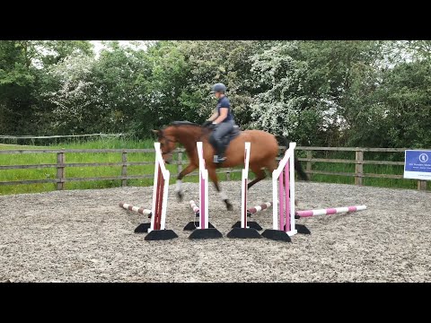 Horse Exercises | Fan of Poles Ridden – Trot