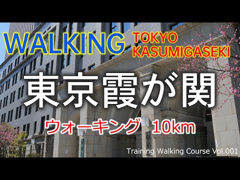 東京 霞が関 ウォーキング TOKYO KASUMIGASEKI (🇯🇵 JAPAN GOV DISTRICT) | JAPAN Walking Tour vol.001