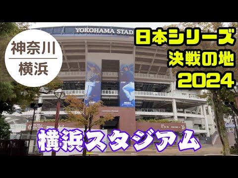 祝 日本シリーズ出場‼ 横浜スタジアム⚾に行ってみた 2024.10.23