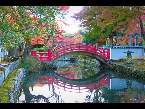 大澤寺の紅葉 2024.12.02