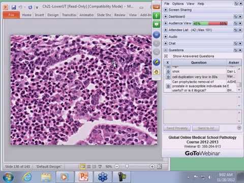 Medical School Pathology, 2013 Season, Session #22: Lower Urinary and Male II and Lab