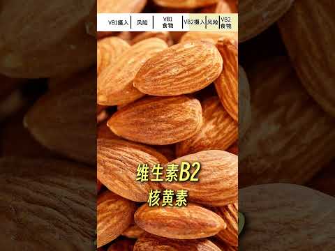 維生素B1和B2攝取指南，都藏在這些日常食物裡！ ｜營養學堂 #搞笑 #營養 #熱門