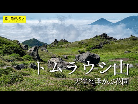 【登山】トムラウシ山　天空に浮かぶ花園