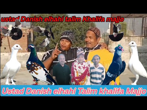 ustad Danish elhahi Talim khalifa majjo urban pigeon lover