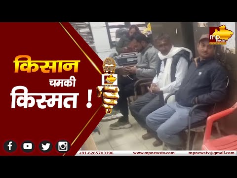 पन्ना में किसान हुआ मालामाल, खेत में मिले बेशकीमती हिरे ! MP NEWS PANNA