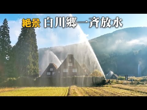 日本の原風景　秋の白川郷一斉放水【Shirakawa-go】