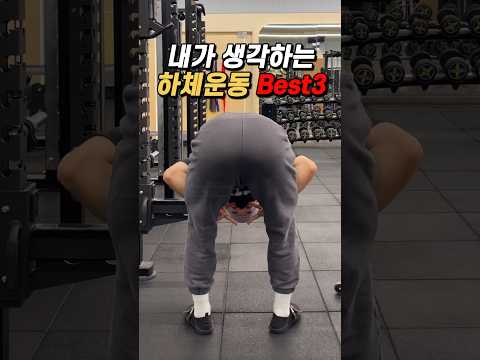 내가 생각하는 하체운동 Best3