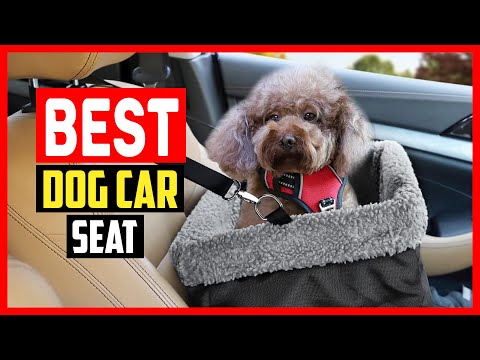 ✅Top 5 Best Dog Car Seat in 2023