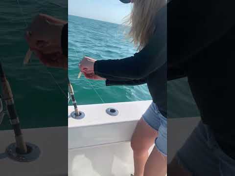 How not to bait a hook! #fishing #naples #fishingcharter #shortvideo #boats #ripp #animal