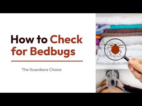 3 Ways to Check for Bed bugs | Recognising Bed Bugs & Preventing Infestation | The Guardians Choice