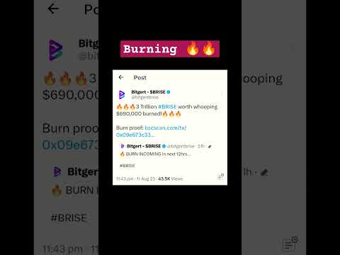 Bitgert Brise की हुई एक और बहुत बड़ी Burning / #burning #bitgertbrise #bitgertbriseburning JobCentre