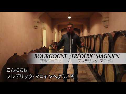 自然派ワインの生産者　ブルゴーニュ　フレデリック・マニャン　Frederic Magnien　Bourgogne