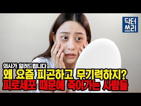 항상 피곤하고 무기력해서 미치겠다면? 무기력한 당신의 일상이 바뀐다 (feat. 피로 세포)