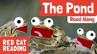 The Pond | Level Reading | Books Aloud | Made by Red Cat Reading