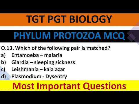 Phylum Protozoa Most Important questions. #ltgrade #tgtbiology