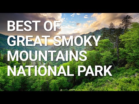 Top Things You NEED To Do In Great Smoky Mountains National Park