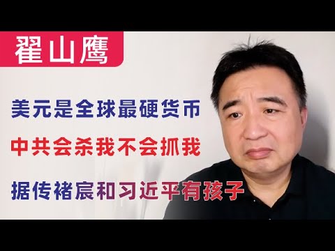 翟山鹰：美元是全球最硬的货币｜能人都不能说话了，所以才显得翟山鹰很能｜据传诸宸和习近平有孩子｜中共会杀我，不会抓我