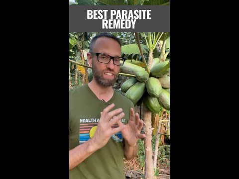 BEST PARASITE REMEDY