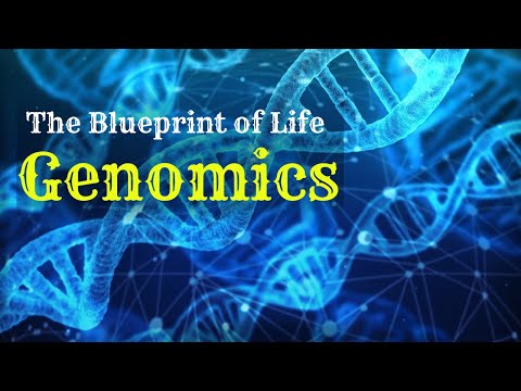 Decoding Life A Dive into Genomics || High Tech Dev #Genomics#DNAsequencing#GenomicData