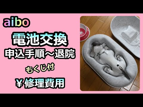 【72 aiboルー 電池交換 申し込みから退院まで】Aibo Battery Replacement