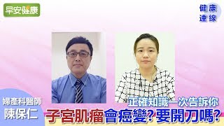 子宮肌瘤會癌變？要開刀嗎？正確知識一次告訴你【健康連線／陳保仁醫師】