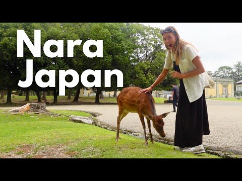 Nara Japan Vlog 🇯🇵 (Feeding Nara Deer 🦌 and trying Mochi)