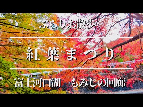 秋の紅葉まつり　富士河口湖ぶらり散歩してみた