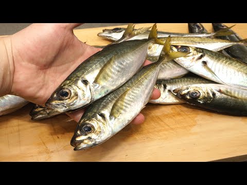 小アジのさばき方と塩漬け「アンチョビ風」の作り方！　How to handle small horse mackerel and how to make salted "anchovy style"