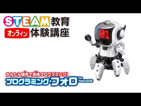 11/21 オンラインSTEAM教育体験講座