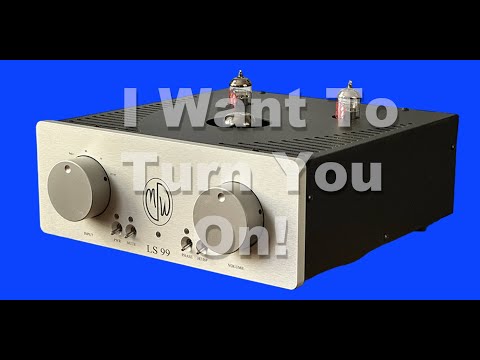 MODWRIGHT LS99, Your First Tube Preamp?