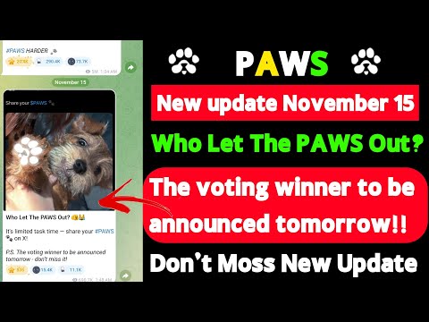 PAWS new update 15 November! Who Let The PAWS Out?  The voting winner to be  announced tomorrow!!