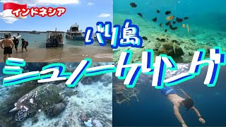 ＃112 【バリ島のキレイな海に１度は潜ってみたい】バリ島シュノーケリングツアー1/3～インドネシア10～