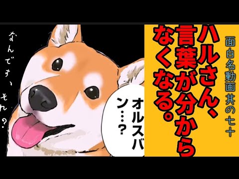 【世界の終わりに柴犬と】切り抜き編集 # 70《困ったもんだ(笑)。》  #世界の終わりに柴犬と  #アニメ #柴犬