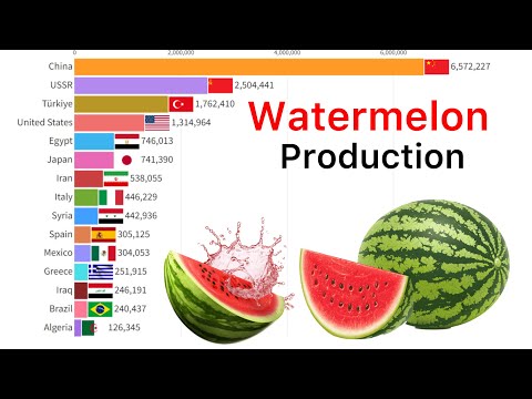 World’s Largest Watermelon Producing Countries