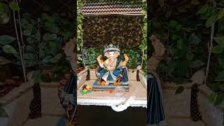 #raipurganeshmurti2024 #marathisong #ganptibappasong #bajirao #ytshorts #jayjagannath #viralvideo